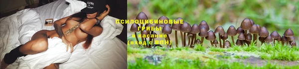 твердый Липки