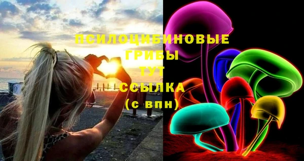 прущие крисы Магадан